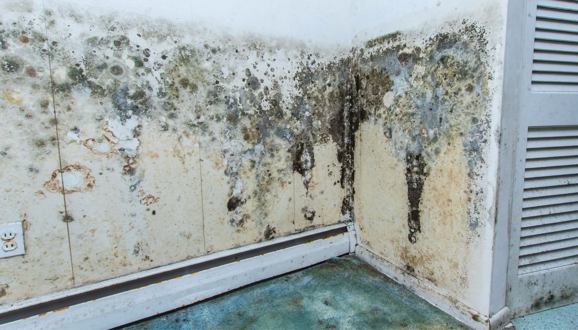 Professional mold removal, odor control, and water damage restoration service in Maryville, Tennessee.