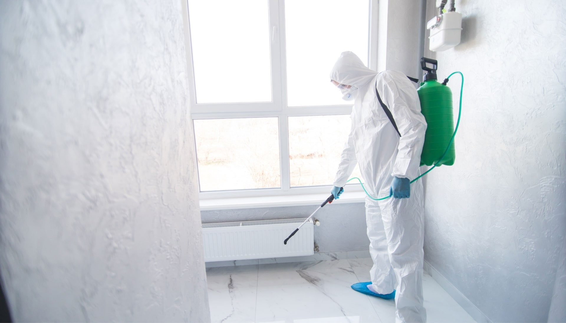 We provide the highest-quality mold inspection, testing, and removal services in the Maryville, Tennessee area.